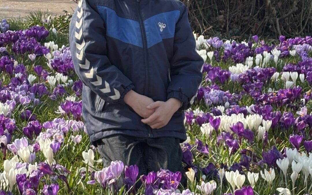 Theodor Togsverd Langberg